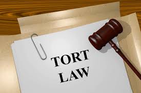 Image result for tort