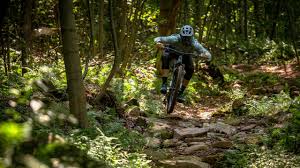 Image result for Berks On Bikes Mountain Bike Club