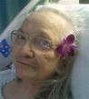 Sarah Galvin Obituary: View Obituary for Sarah Galvin by Corrigan Craciun