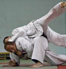Image result for Aylwin Judo Club