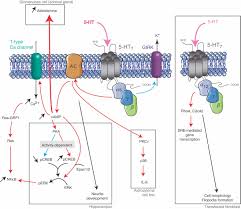 Image result for HTRPC