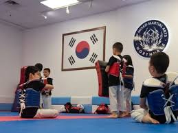Image result for Ndm Martial Arts