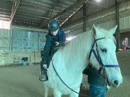 Image result for Shey Copse Riding Centre