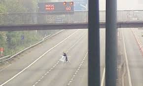 Image result for extreme ironing