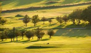 Image result for Borth & Ynyslas Golf Club
