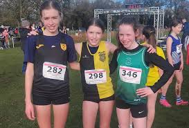 Image result for Louth Athletic Club
