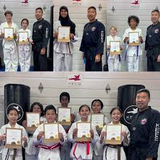 Image result for Kees Tae Kwon Do