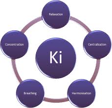 Image result for Charnwood Shoto Ryu Karate kai