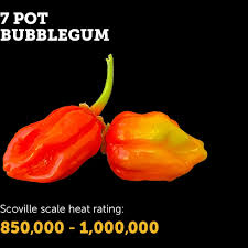 Afbeeldingsresultaat voor 7 pot hot pepper