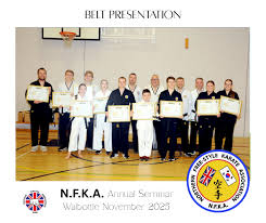 Image result for Northern Freestyle Karate Association