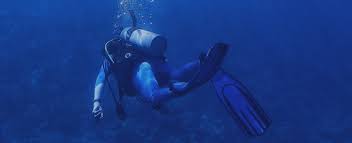 Image result for Haslemere Sub Aqua Club