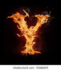 Image result for    [     @  Y