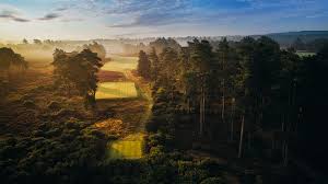 Image result for Hankley Common Golf Club