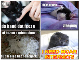 Image result for lulcatz