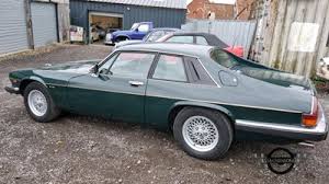 Image result for Racing Green 1990 Jaguar