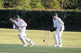 Image result for Worcester Nomads Cricket Club