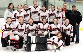 Image result for Worthing Hockey Club