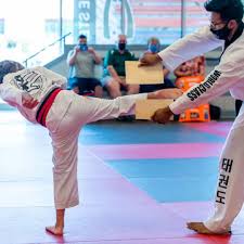 Image result for Breakthrough Tae Kwon Do