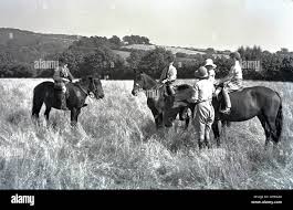 Image result for Chiddingfold Branch Of The Pony Club