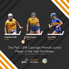 Image result for Green Isle Camogie Club - Players Wanted!