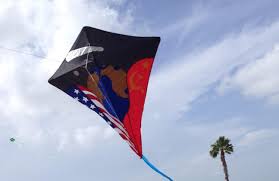 Image result for One Sky One World UK