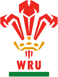 Image result for Rugby Welsh R F C