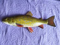 Image result for Salvelinus fontinalis