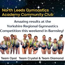 Image result for City Of Leeds Gymnastics Club