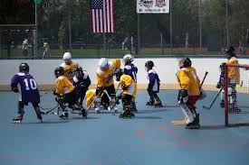 Image result for Middlesbrough Roller Hockey Club
