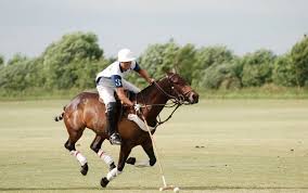 Image result for Cambridge and Newmarket Polo Club