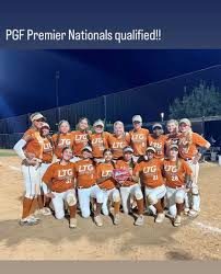 Image result for Lions Softball Club