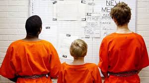 Attēlu rezultāti vaicājumam “juvenile”