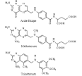 Dihydrofolate reductase (DHFR) inhibitors - Pharmacorama