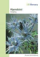 Image result for Alpendistel