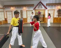 Image result for Everitt Karate Academy