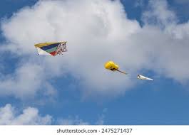 Image result for Kite Club of Scotland