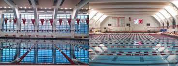 Image result for Worcester Swimming Club
