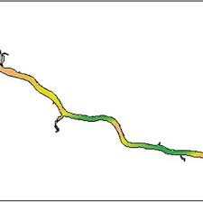 Image result for Sander canadensis/vitreus