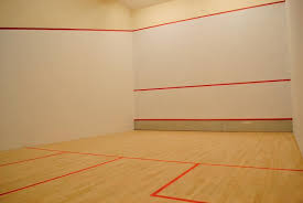 Image result for New Ash Green Badminton Club