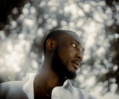 Image result for bokeh