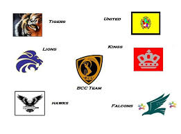 Image result for Portland Red Triangle Cricket Club