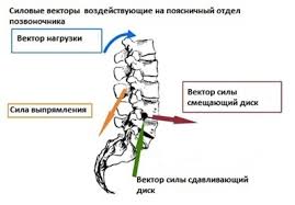 Картинки по запросу белку зажевало в диск