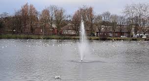 Image result for Townholm Bowling Club