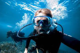 Image result for Eltham and District Sub Aqua Club