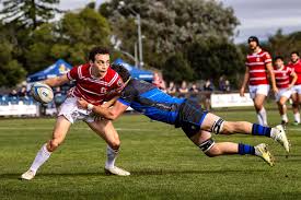 Image result for Stanford Rugby Club