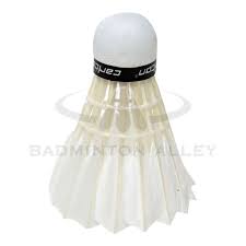 Image result for Chalfont Gut & Feather Badminton Club