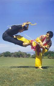 Image result for Kuk Sool Won Of Botesdale