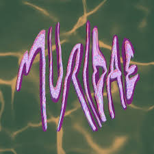 Attēlu rezultāti vaicājumam “Muridae”