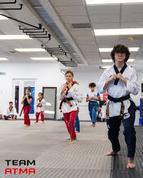 Image result for Han Wong Tae Kwon Do Academy