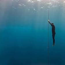 Image result for Diveline